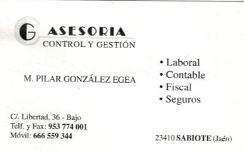 Asesoría, Control y Gestión, Mª del Pilar González Egea